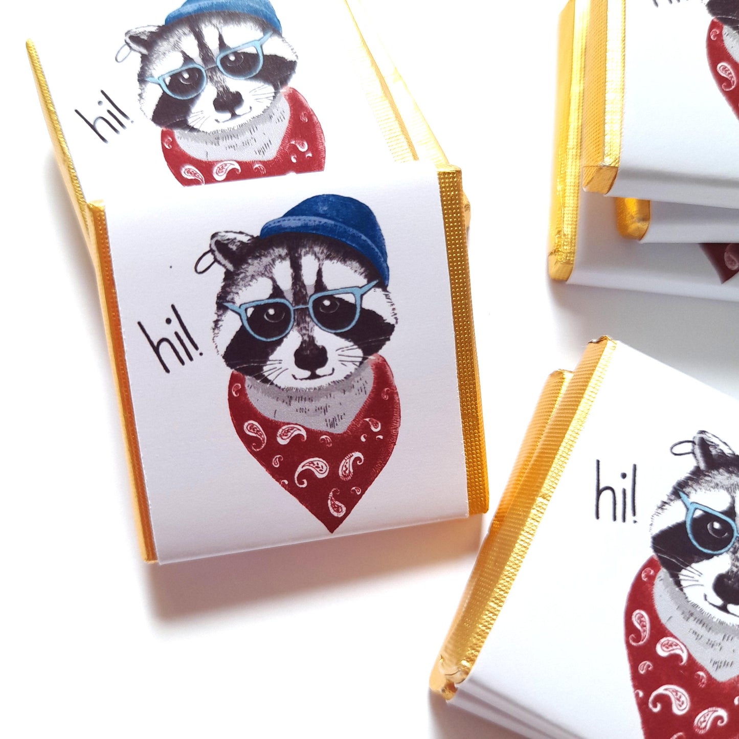 Personalized Raccoon Chocolate Favours – Birthday Party Favours (Pack of 25)