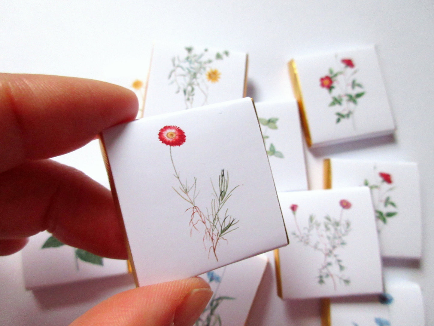 Wild Flower Thank You Favours – Personalised Botanical Chocolates (Pack of 25)