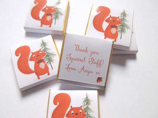 Red Squirrel Woodland Chocolate Favours (Pack of 25)
