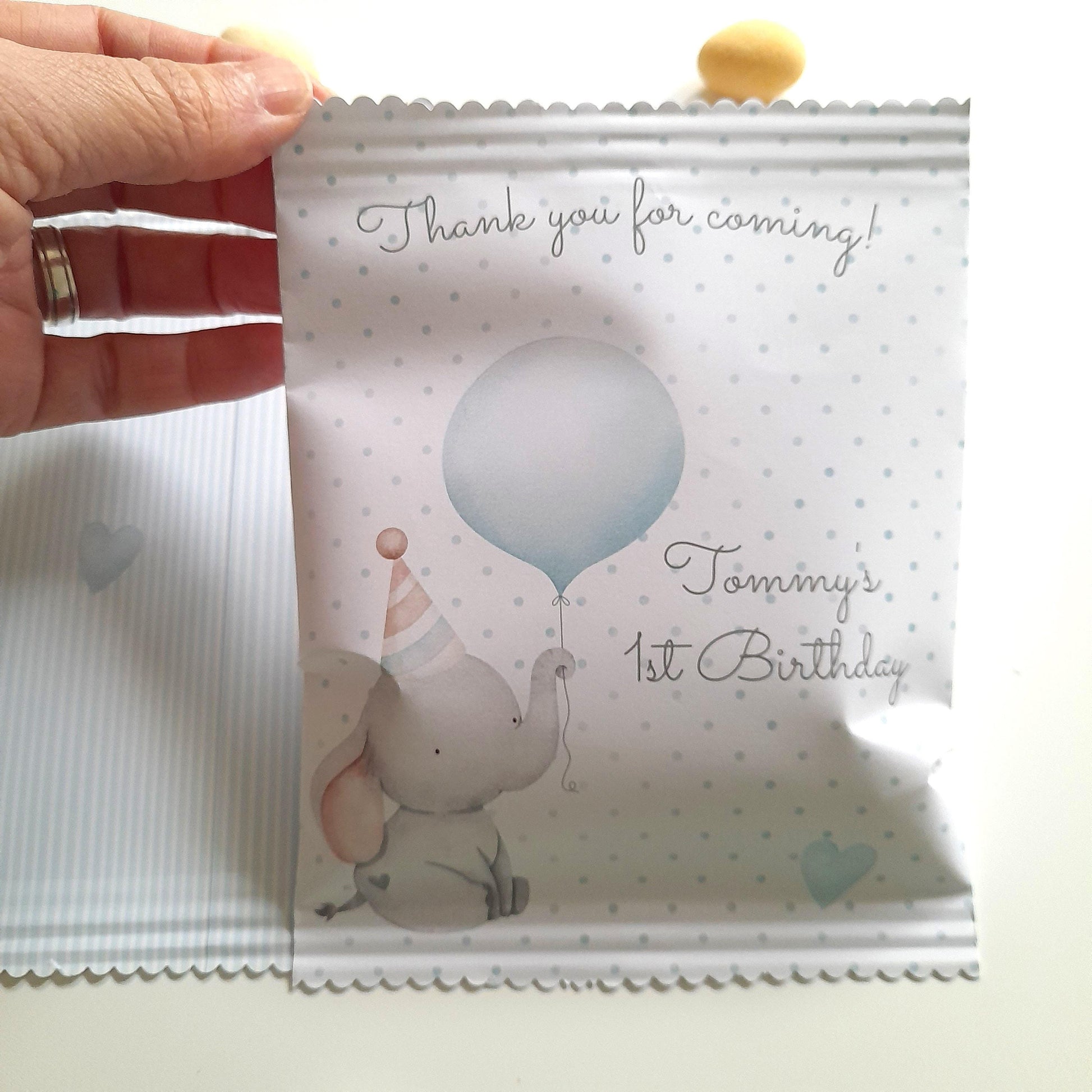 Baby boy 1st birthday party bags