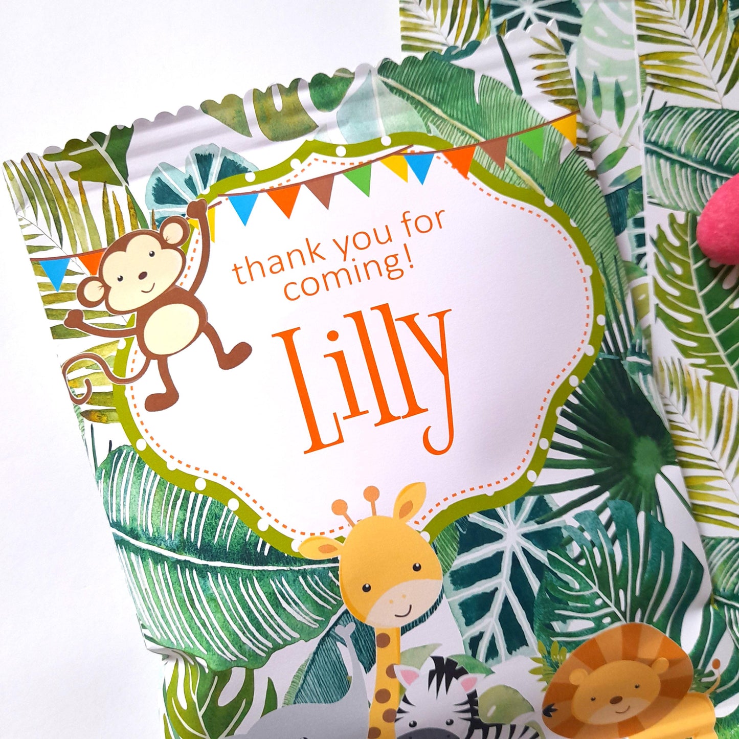 Jungle Safari Birthday Treat Bags – Personalised Party Favours (Set of 10)