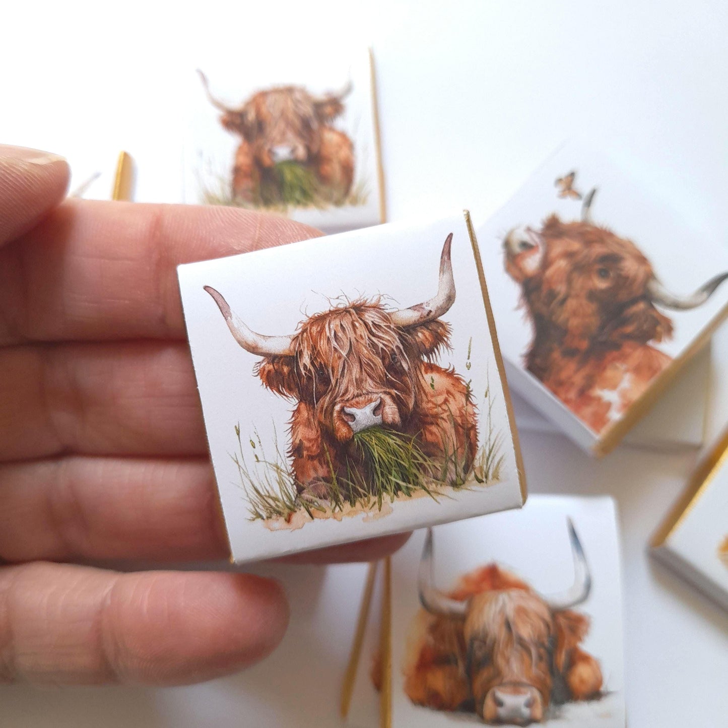 Personalised Highland Cow Chocolate Favours – Rustic Party Treats