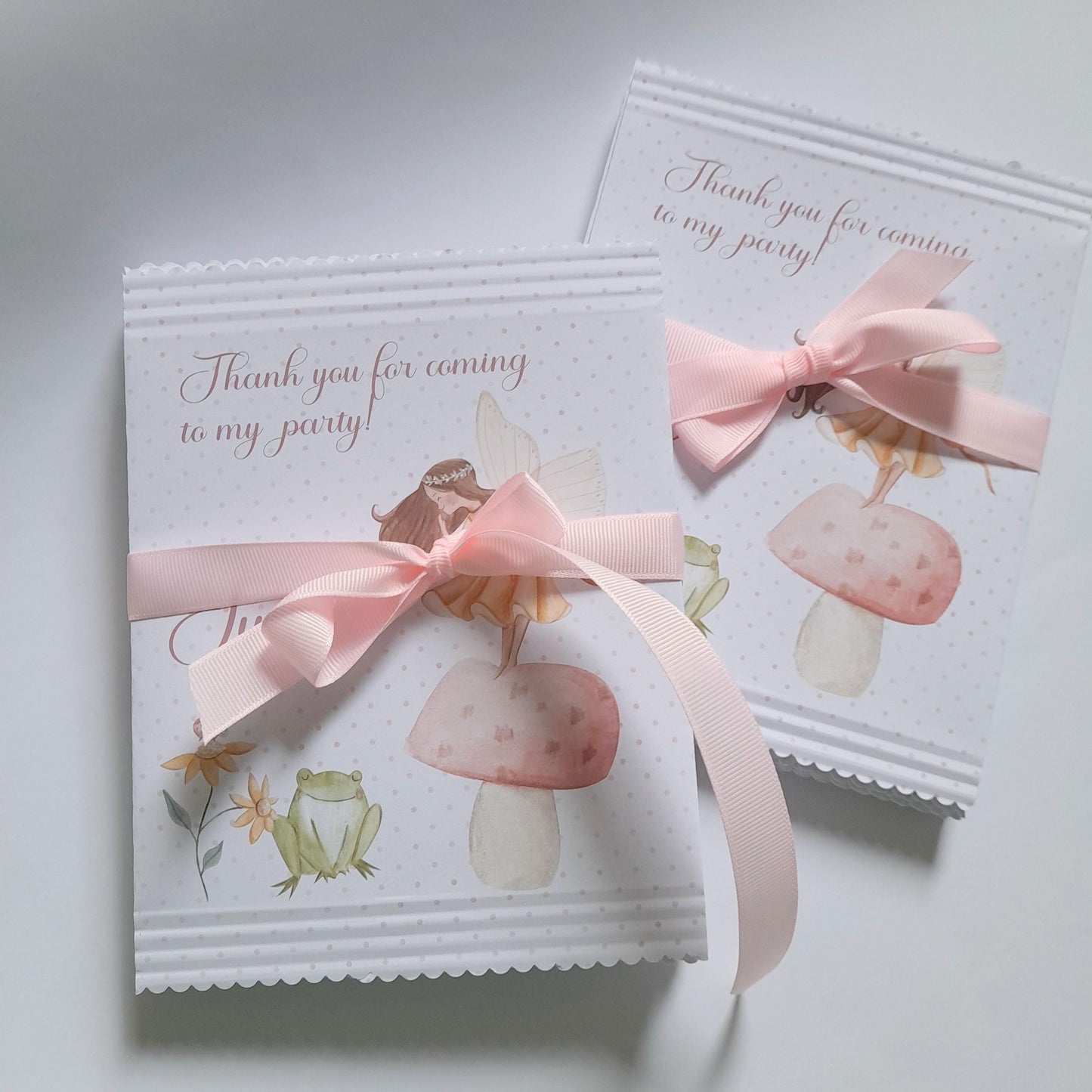 Enchanted Fairy Party Treat Bags (Pack of 10)