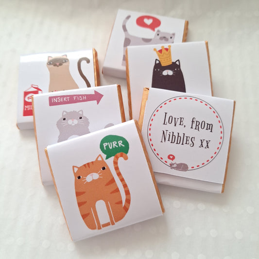 Playful Cat Birthday Chocolate Favours – Pack of 25