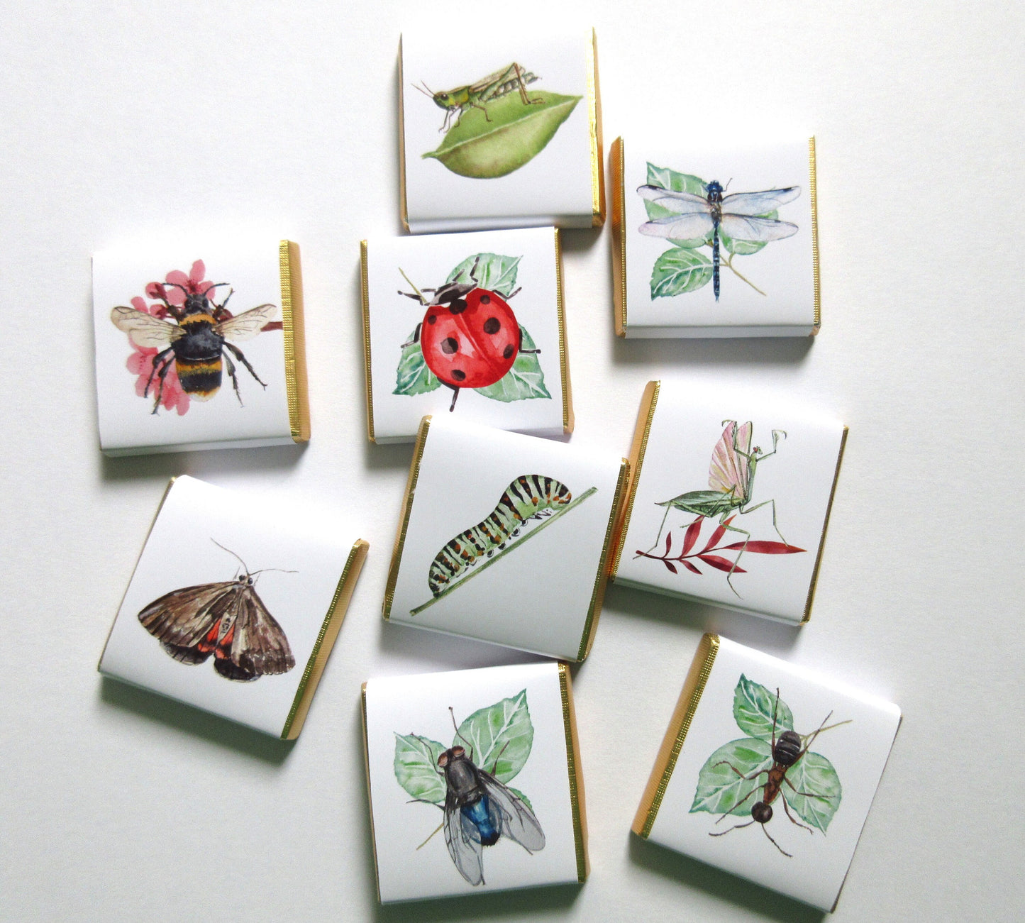Personalized Garden Bugs Chocolate Favours – Kids' Birthday Party Favours, Pack of 25
