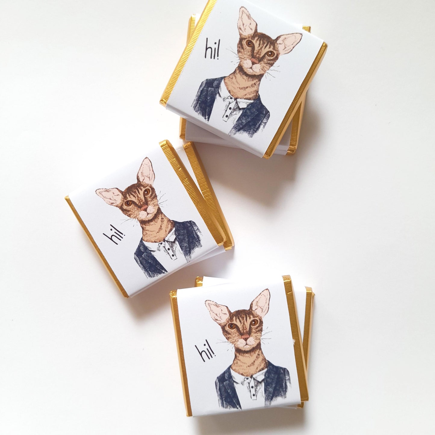 Personalized Handsome Cat Chocolate Favours – Fun Birthday Party Favours (Pack of 25)
