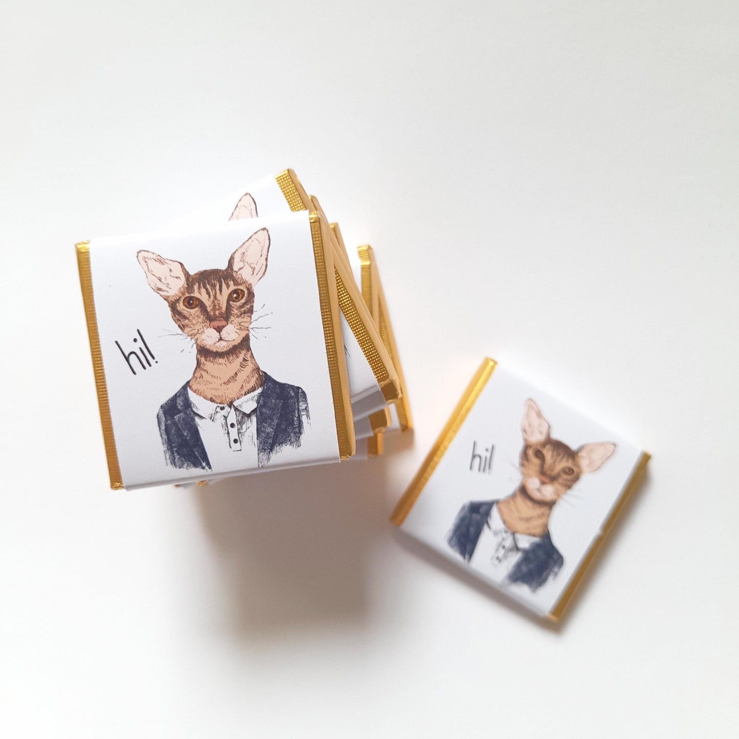 Personalized Handsome Cat Chocolate Favours – Fun Birthday Party Favours (Pack of 25)