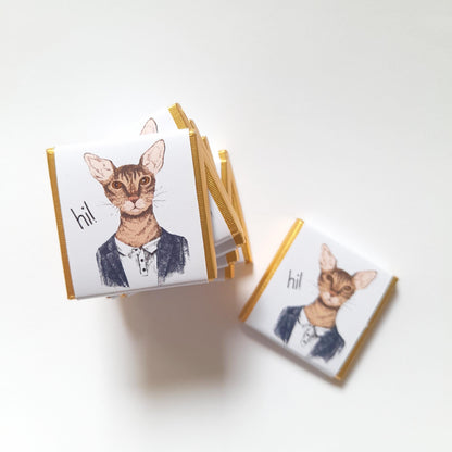 Personalized Handsome Cat Chocolate Favours – Fun Birthday Party Favours (Pack of 25)