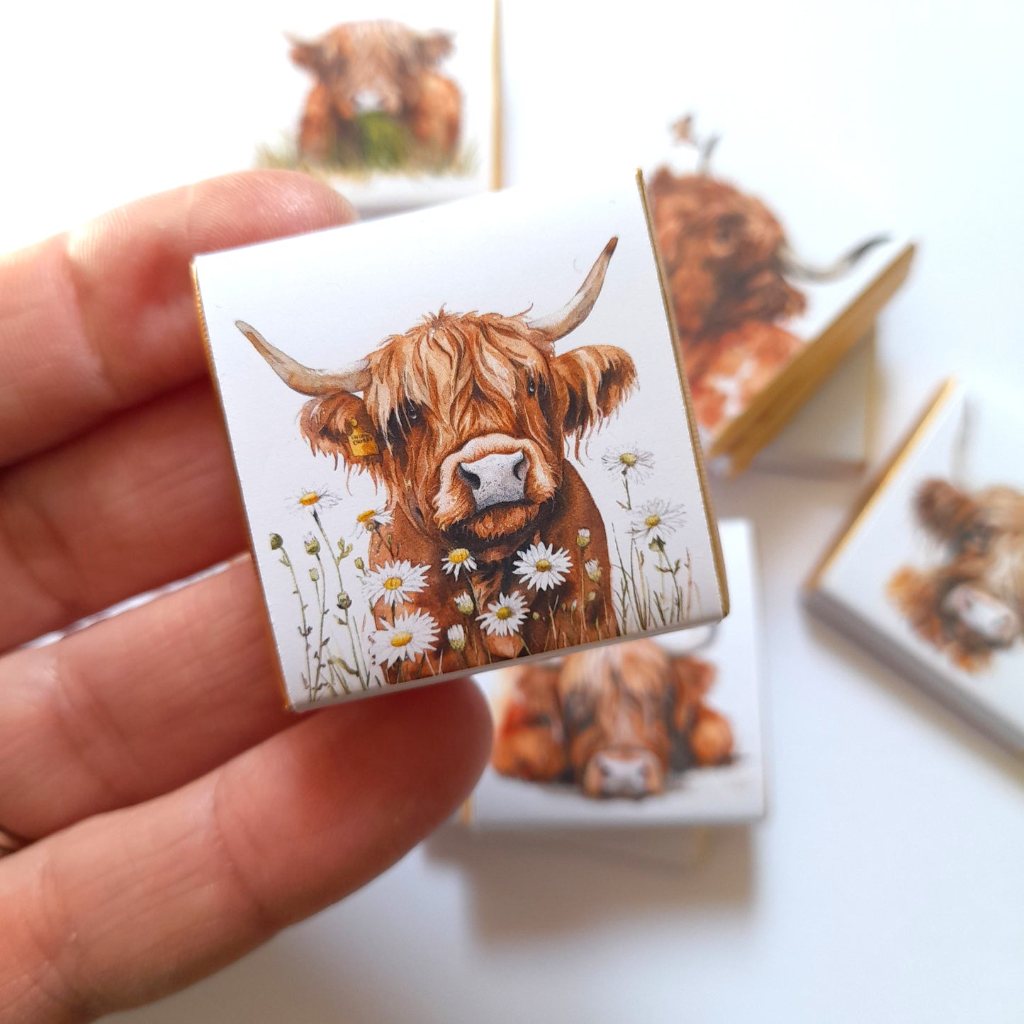Highland Cows Personalised Chocolate Favours – Baby Shower, Birthday & Wedding Treats – Pack of 25