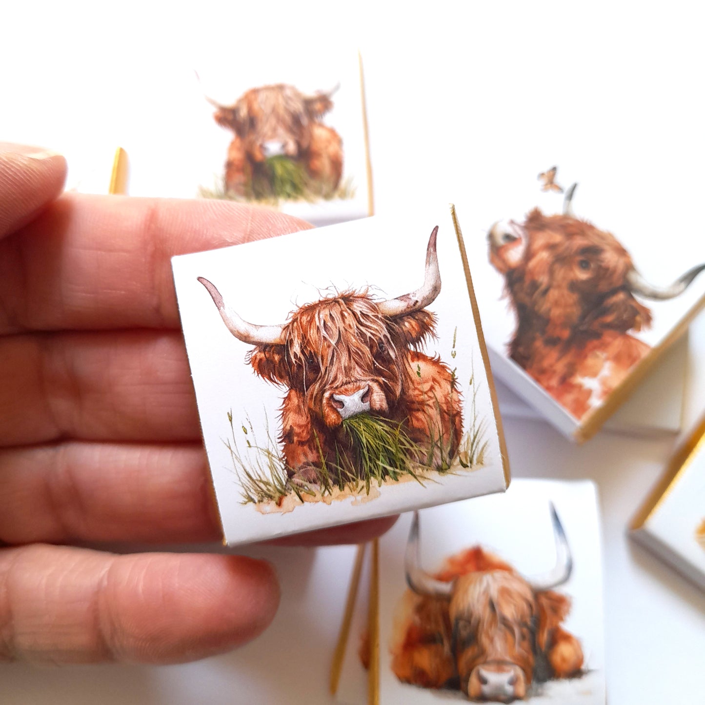 Highland Cows Personalised Chocolate Favours – Baby Shower, Birthday & Wedding Treats – Pack of 25