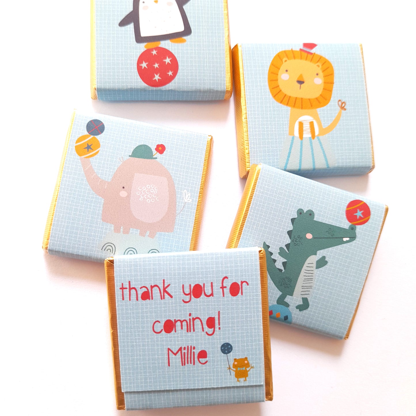 Cute Circus Personalised Chocolate Favours – Fun Birthday Party Treats & Guest Gifts (Pack of 25)