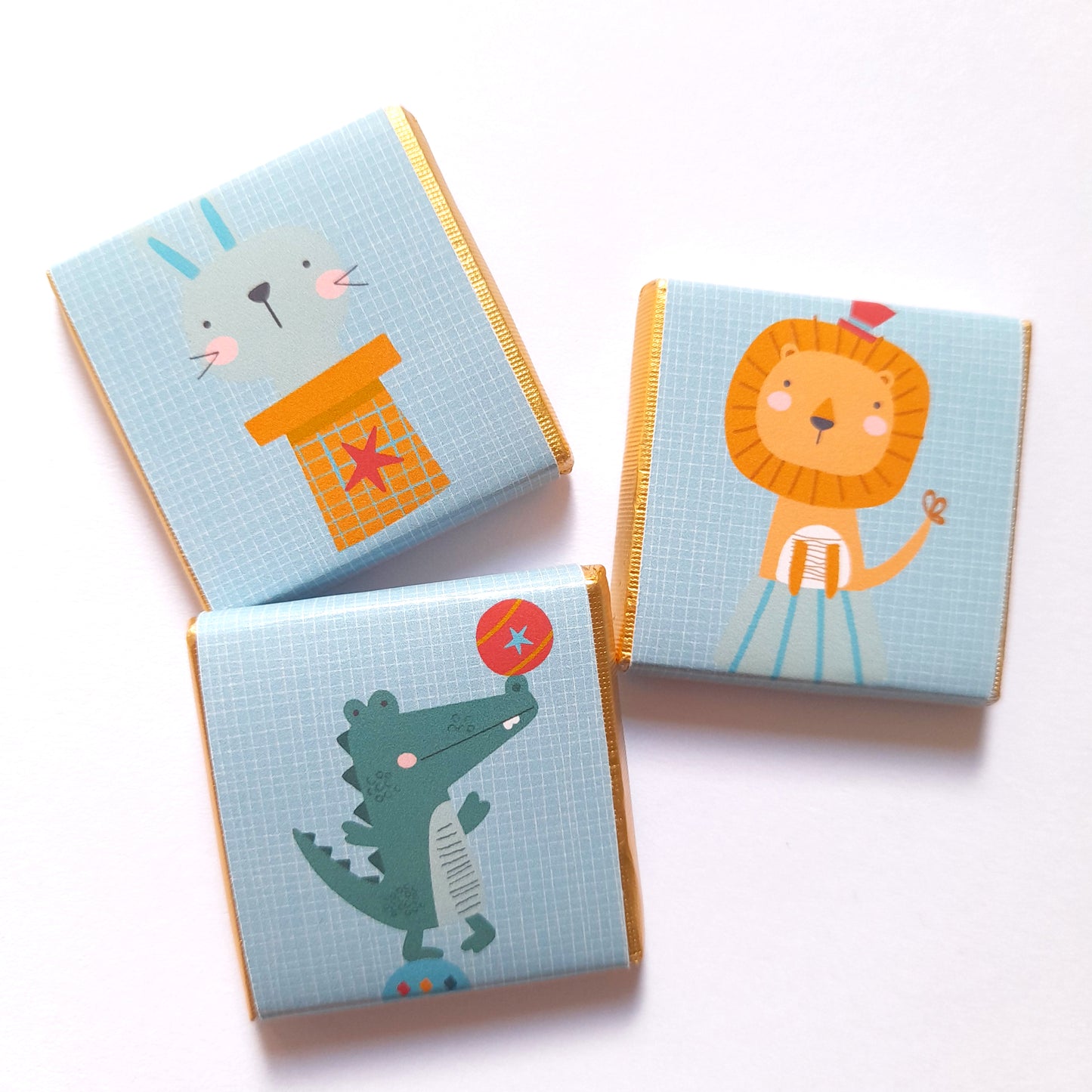 Cute Circus Personalised Chocolate Favours – Fun Birthday Party Treats & Guest Gifts (Pack of 25)