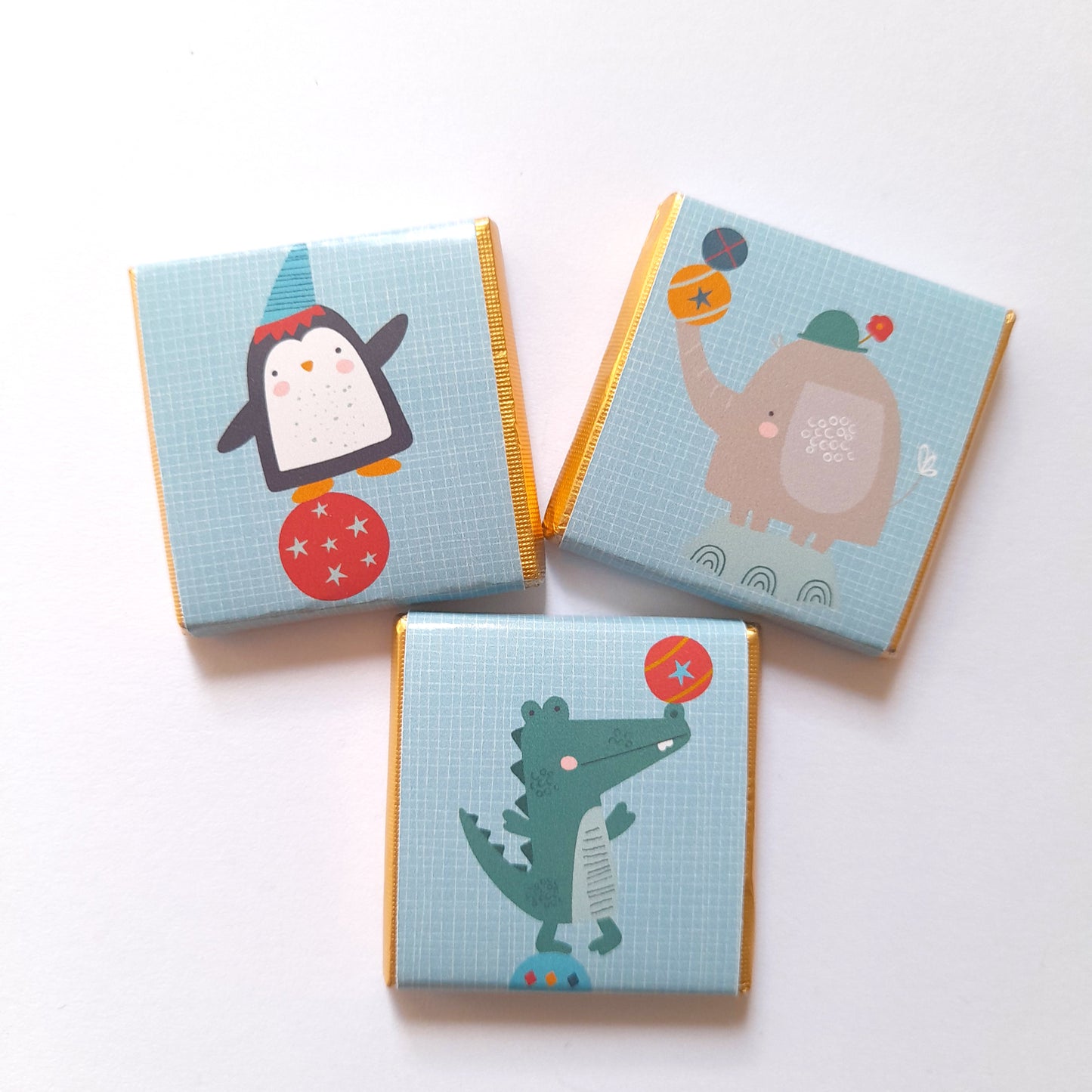Cute Circus Personalised Chocolate Favours – Fun Birthday Party Treats & Guest Gifts (Pack of 25)