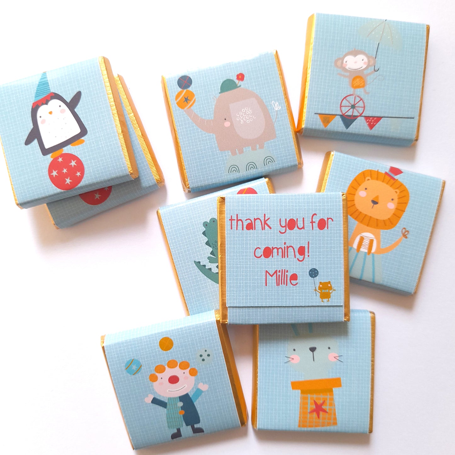 Cute Circus Personalised Chocolate Favours – Fun Birthday Party Treats & Guest Gifts (Pack of 25)