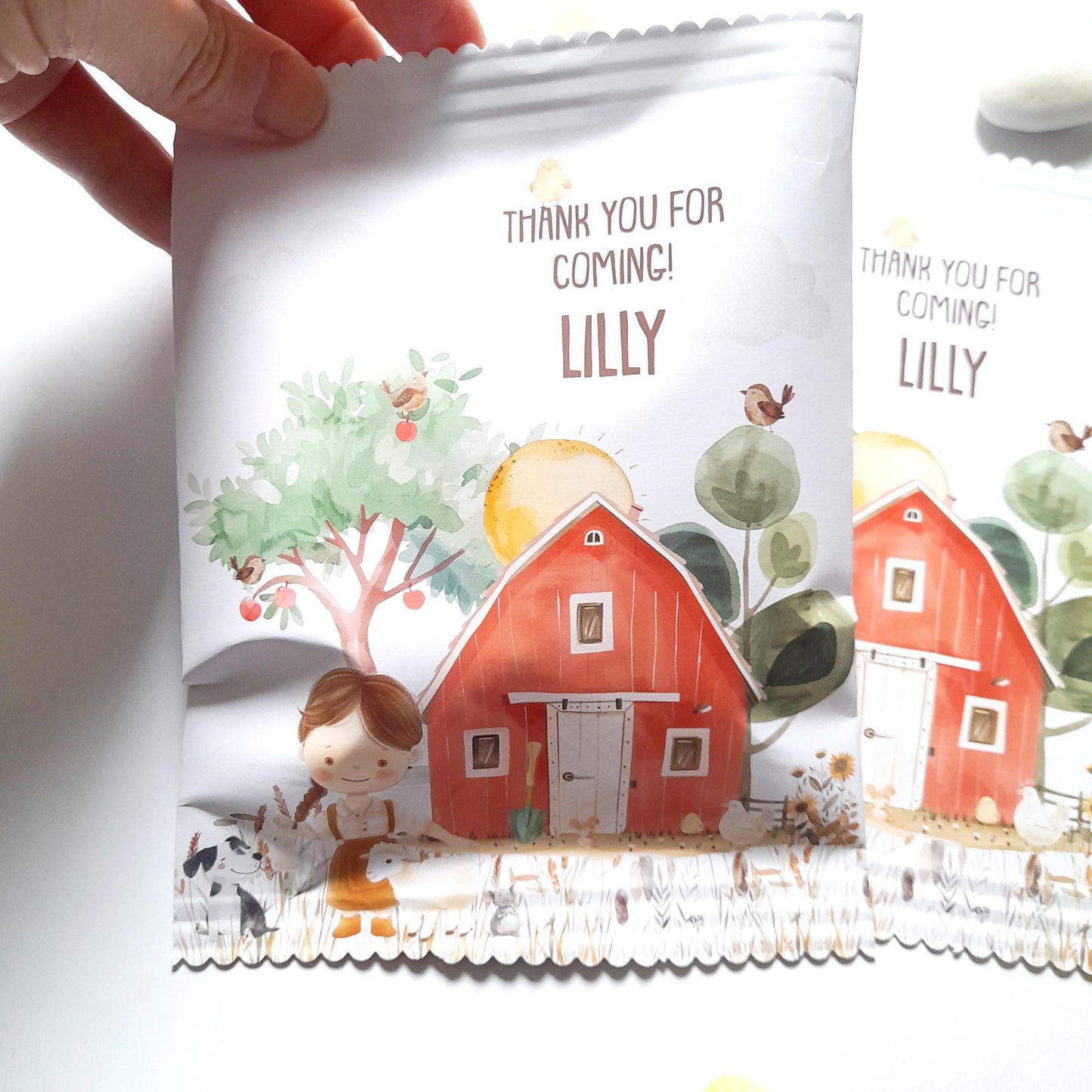 Personalised Farm Party Bags for Girls– Custom Birthday Treat Bags (Pack of 10)