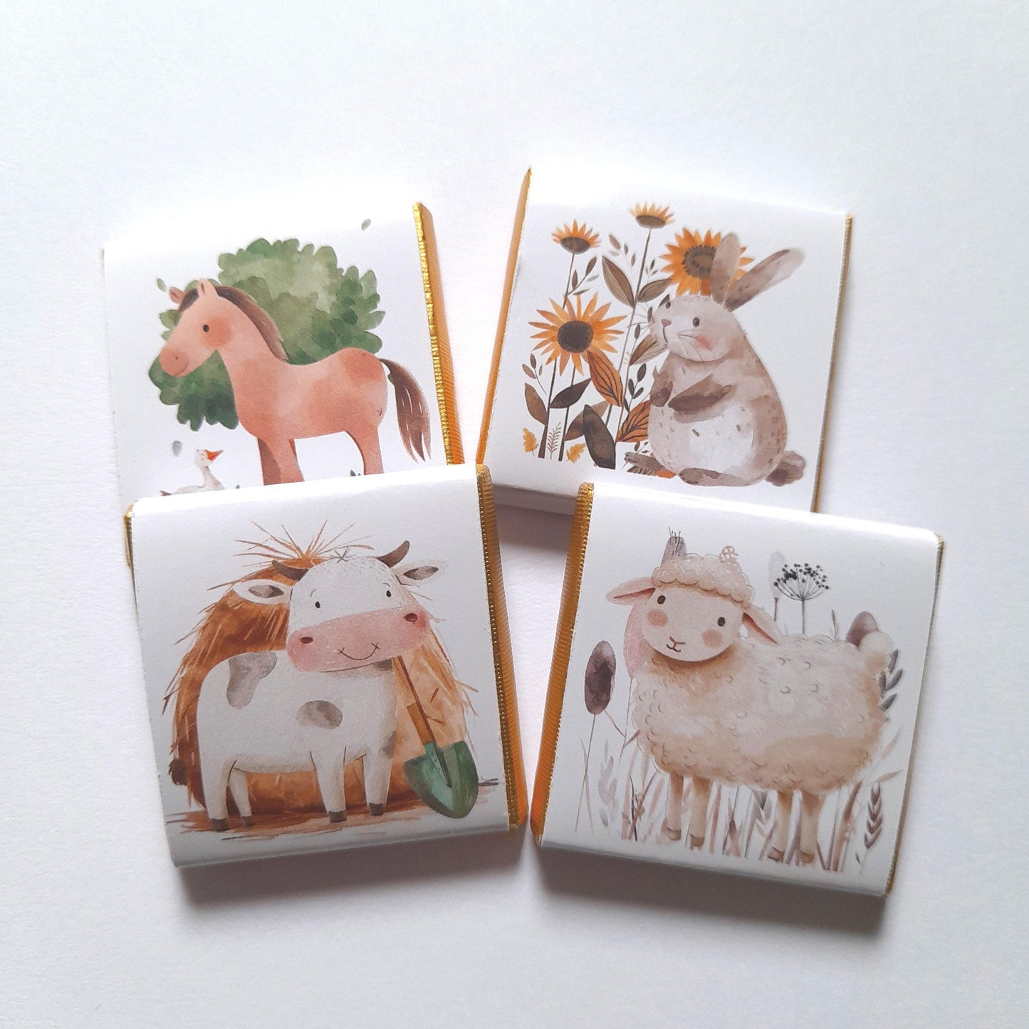 Personalized Farm Party Chocolate Favours – Farm Animals Treats for Children's Party (25 pcs)
