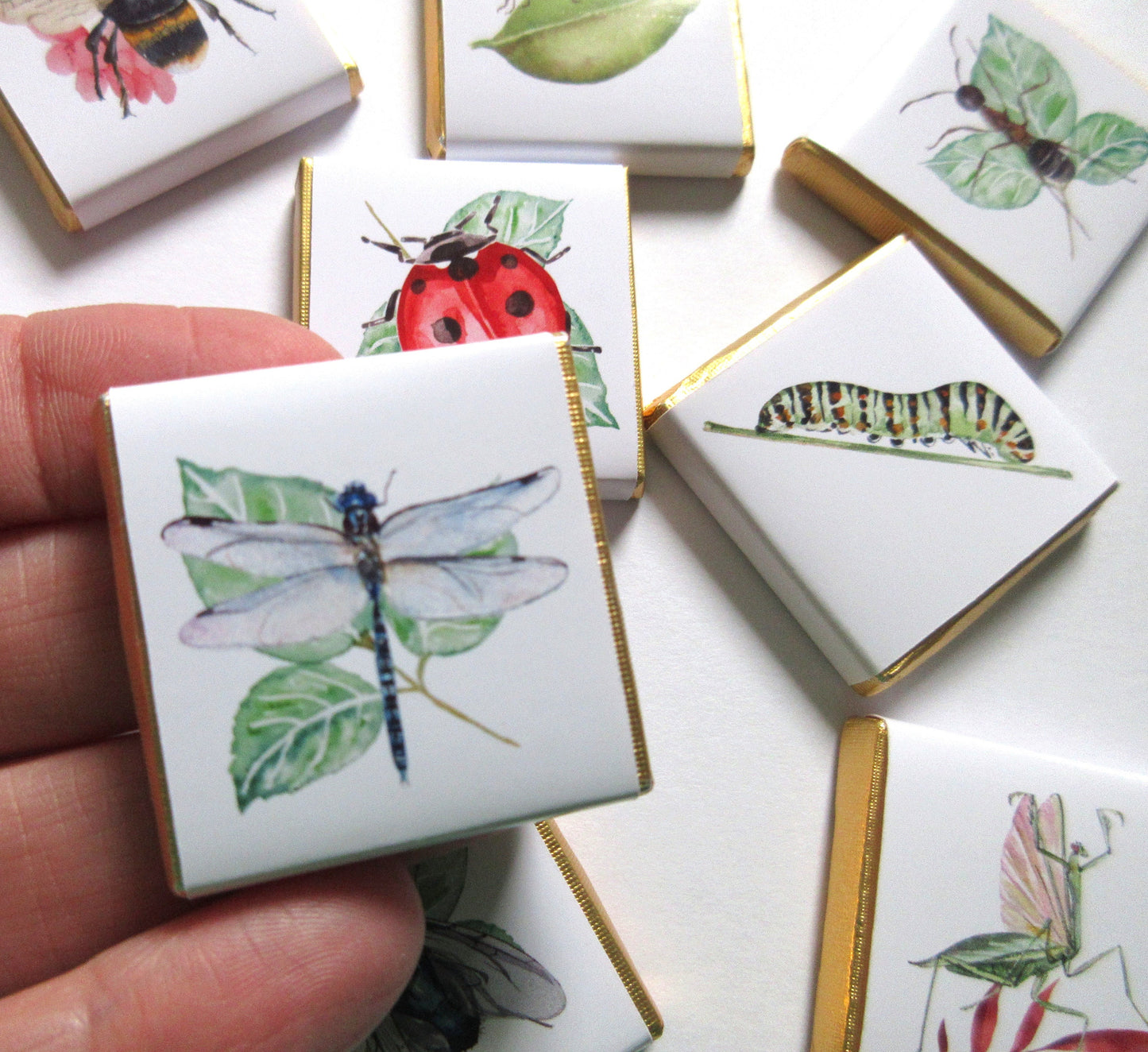 Personalized Garden Bugs Chocolate Favours – Kids' Birthday Party Favours, Pack of 25