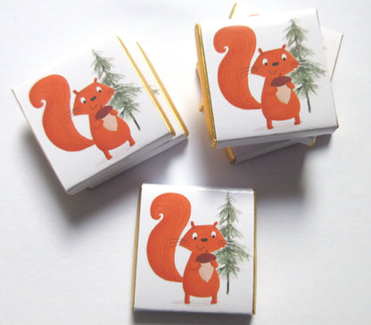Red Squirrel Personalized Chocolate Favours – Cute Woodland Party Treats (Pack of 25)