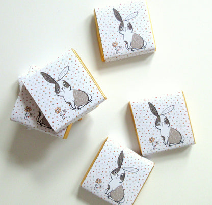 Personalized Bunny Baby Shower Chocolate Favours – Custom Guest Favours (Pack of 25)