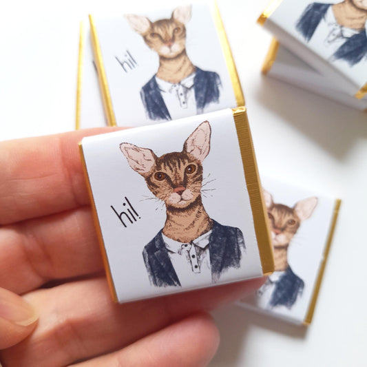 Personalized Handsome Cat Chocolate Favours – Fun Birthday Party Favours (Pack of 25)