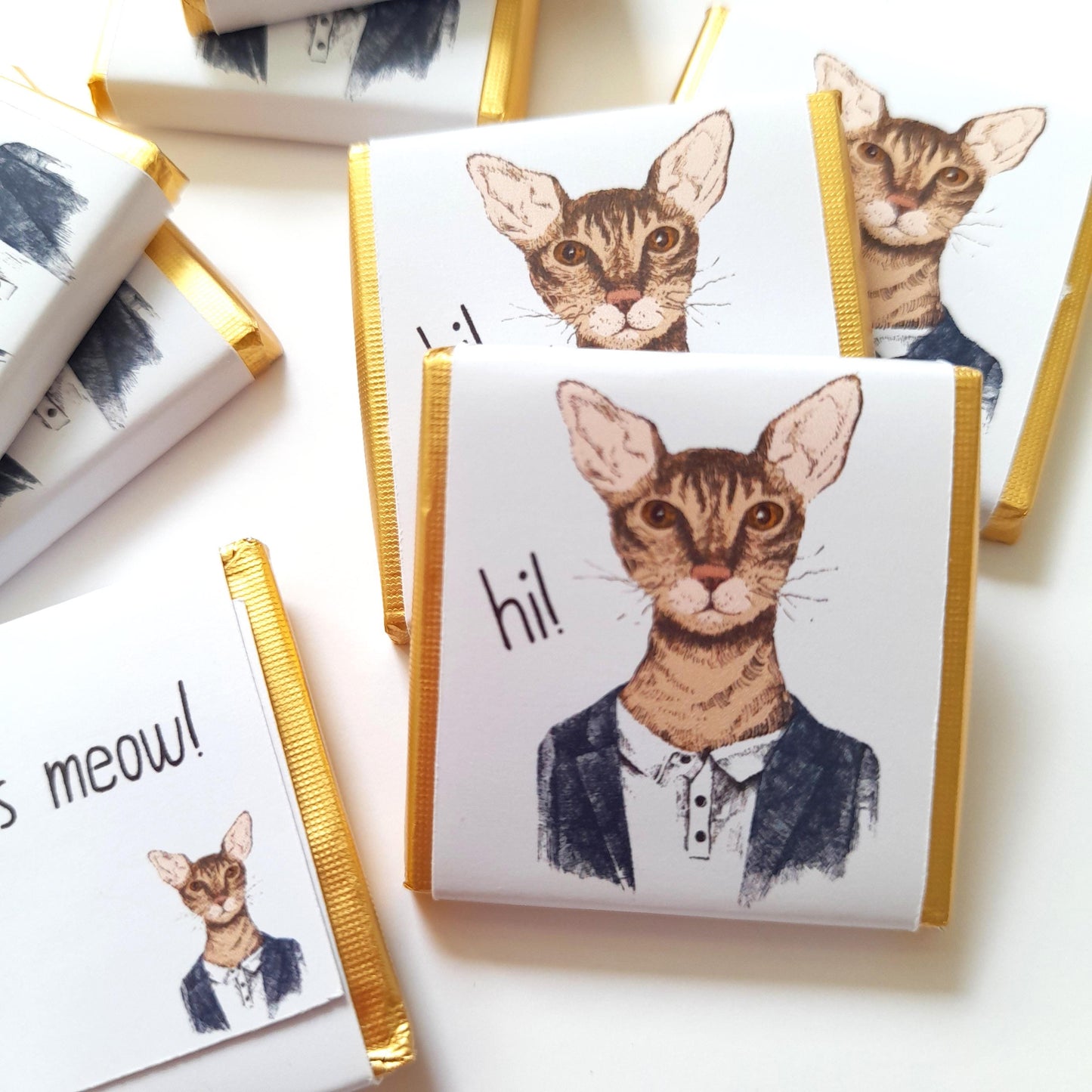 Personalized Handsome Cat Chocolate Favours – Fun Birthday Party Favours (Pack of 25)