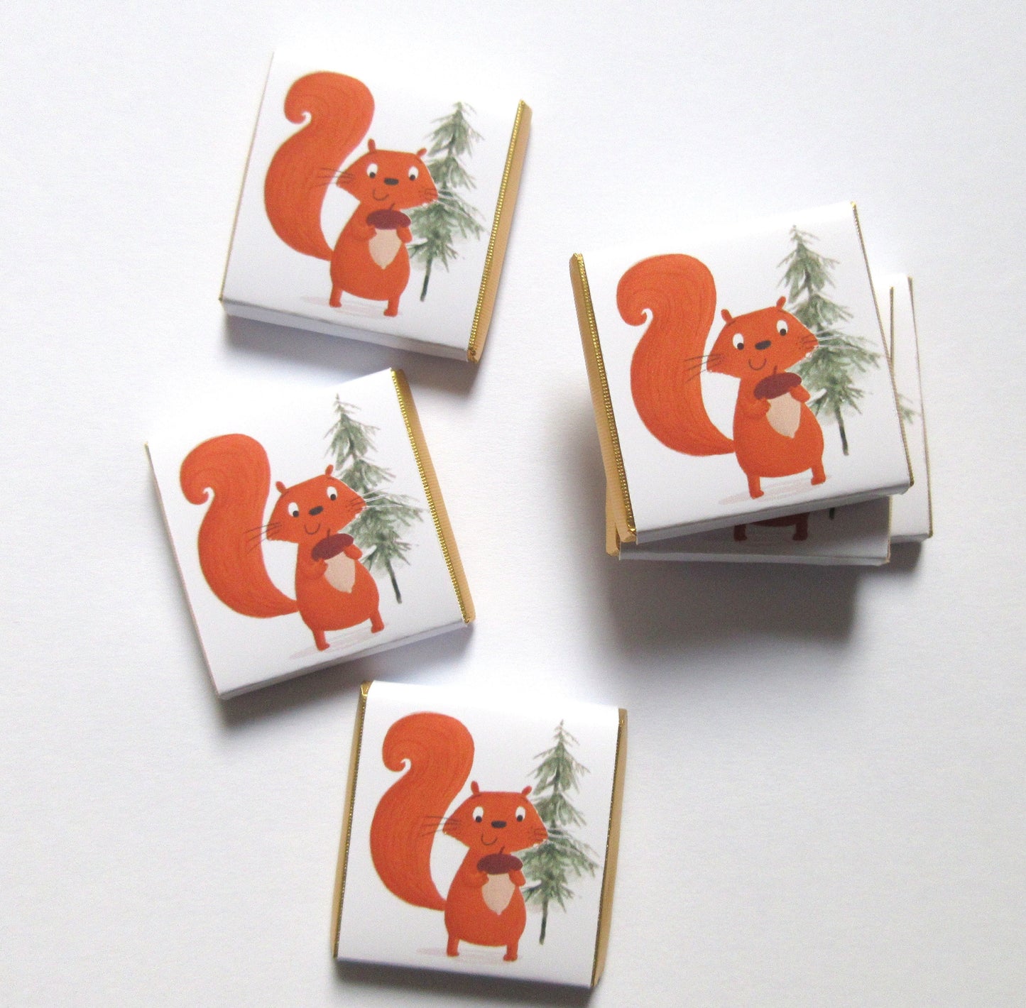 Red Squirrel Personalized Chocolate Favours – Cute Woodland Party Treats (Pack of 25)