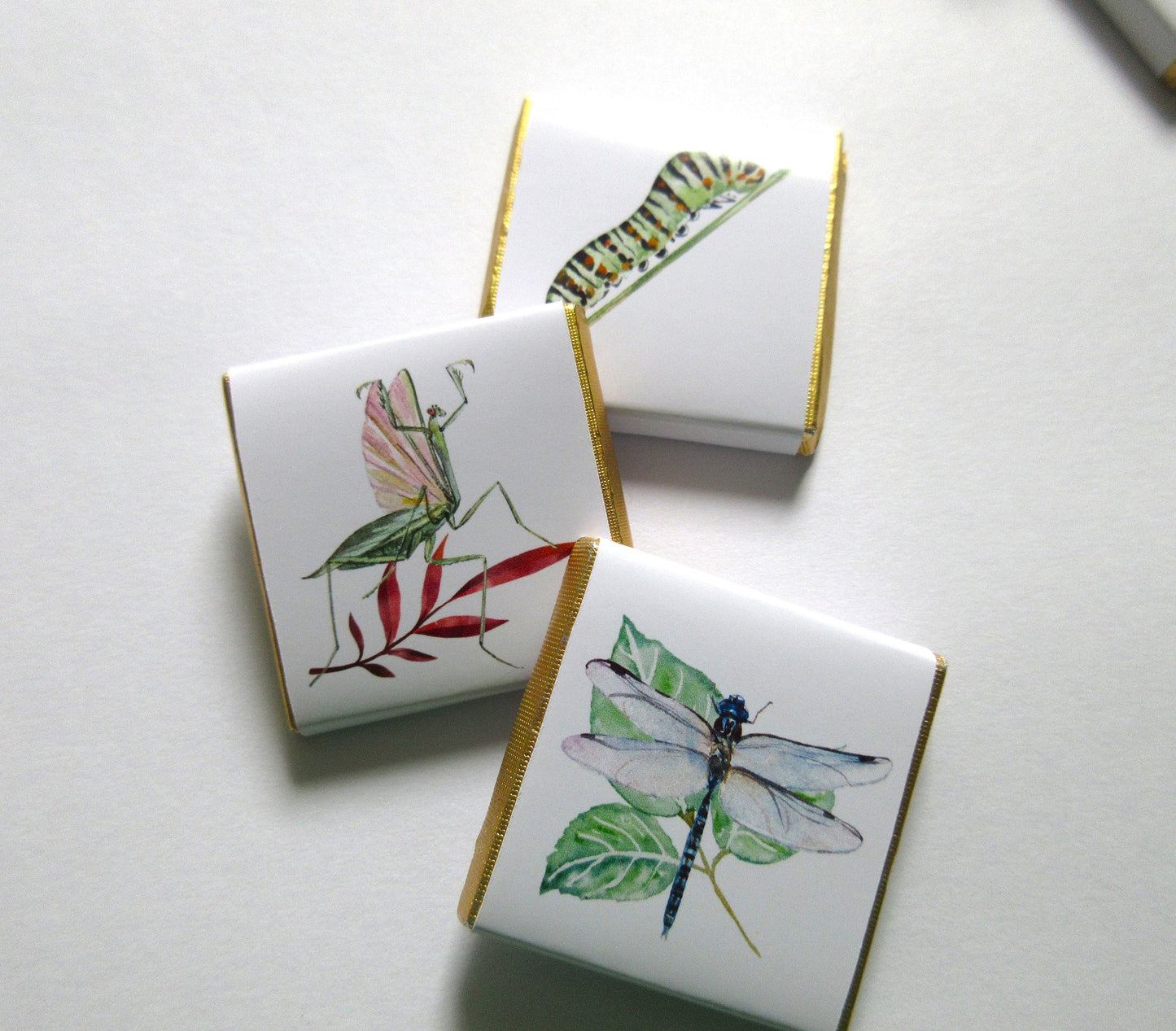 Personalized Garden Bugs Chocolate Favours – Kids' Birthday Party Favours, Pack of 25