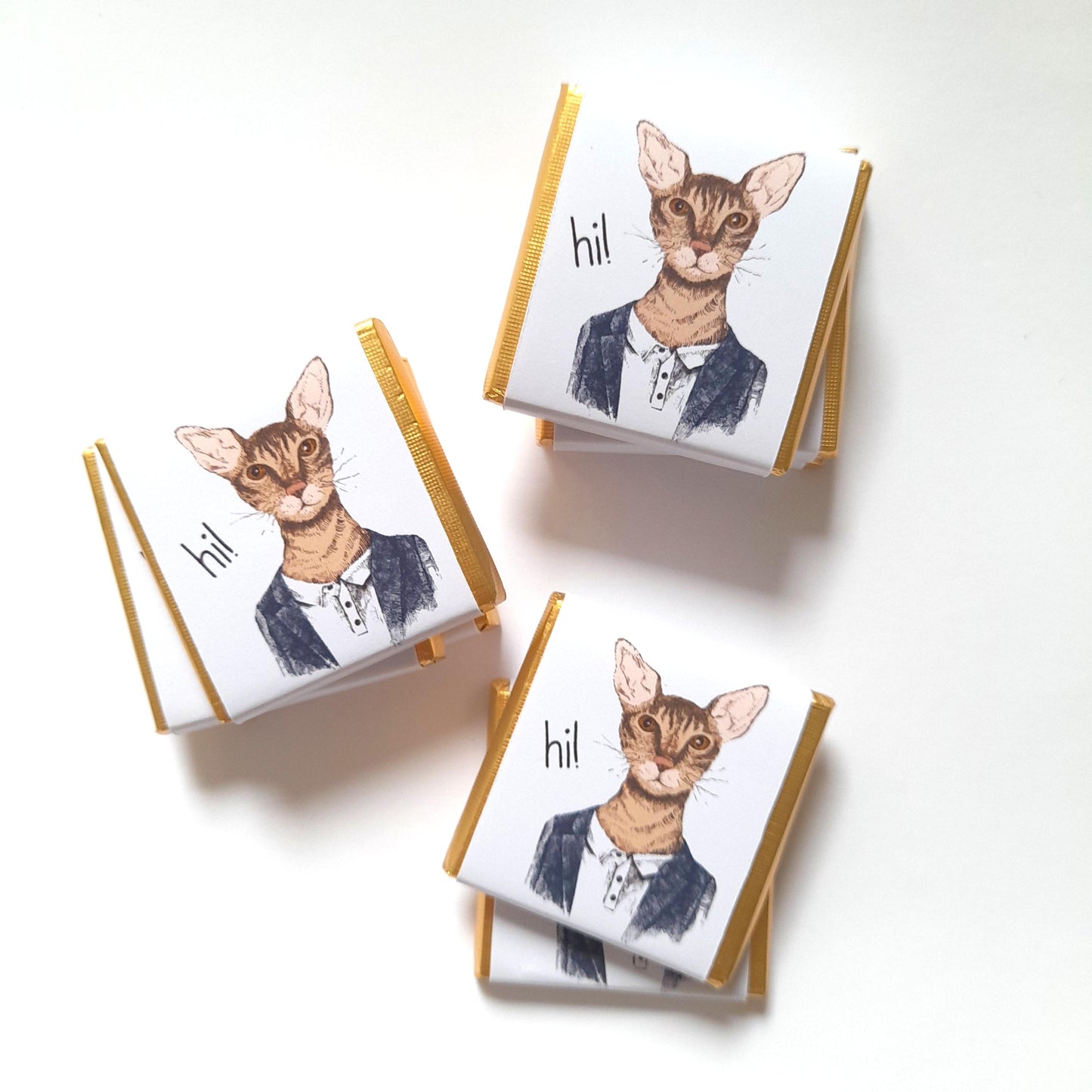 Personalized Handsome Cat Chocolate Favours – Fun Birthday Party Favours (Pack of 25)