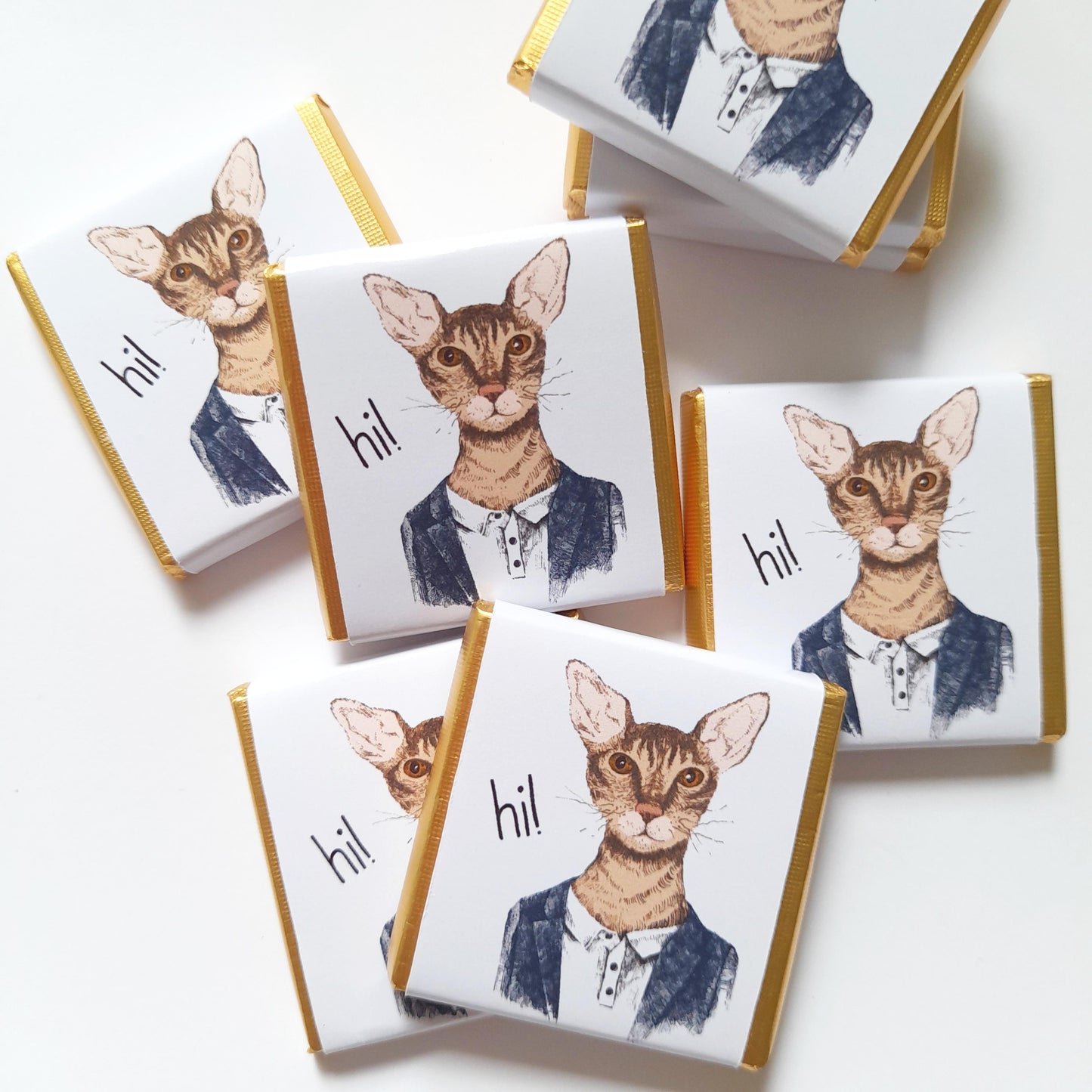 Personalized Handsome Cat Chocolate Favours – Fun Birthday Party Favours (Pack of 25)