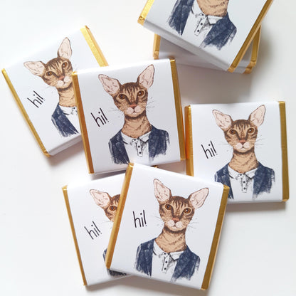 Personalized Handsome Cat Chocolate Favours – Fun Birthday Party Favours (Pack of 25)