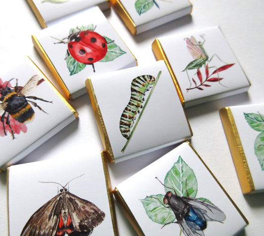 Personalized Garden Bugs Chocolate Favours – Kids' Birthday Party Favours, Pack of 25