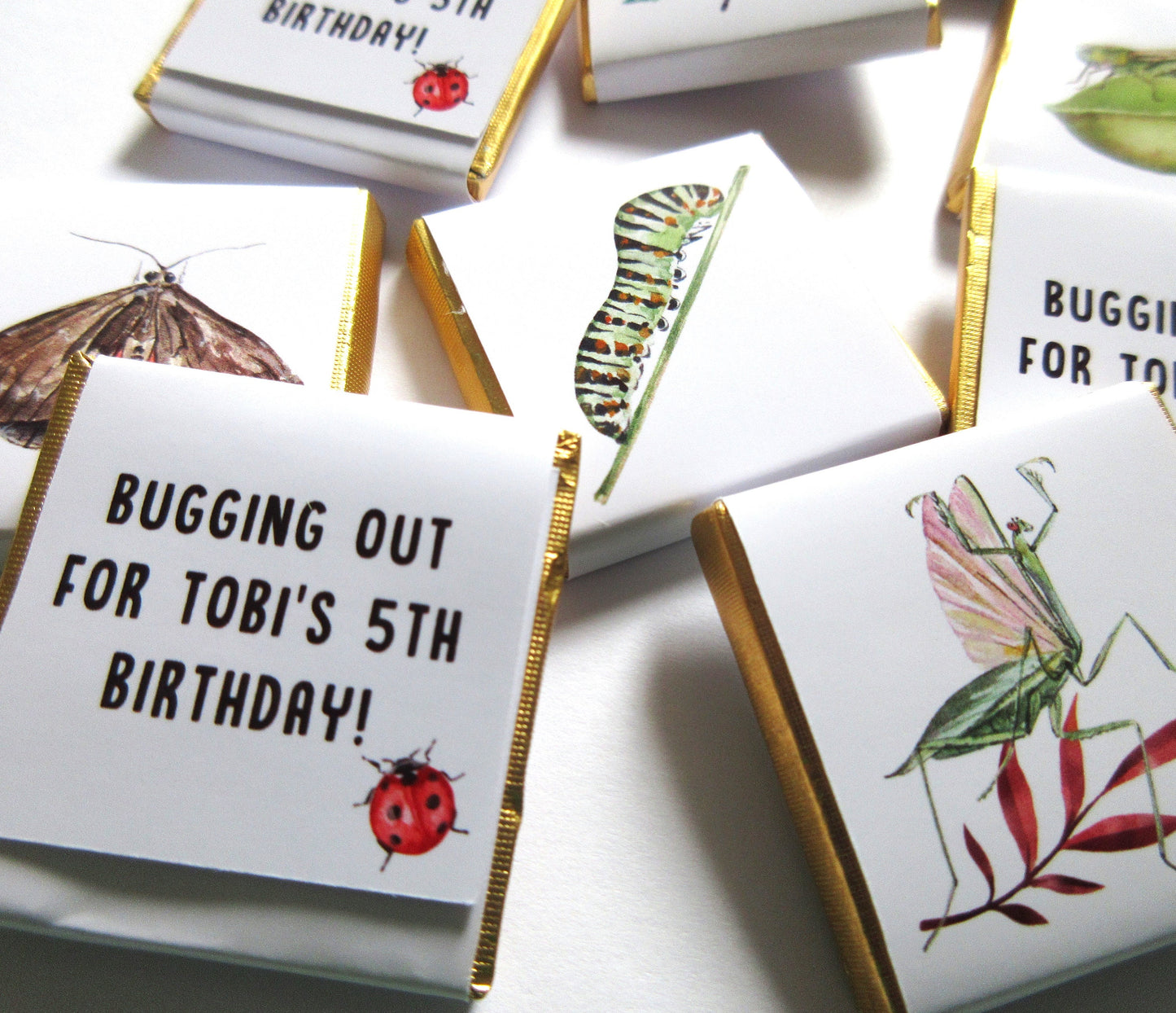 Personalized Garden Bugs Chocolate Favours – Kids' Birthday Party Favours, Pack of 25