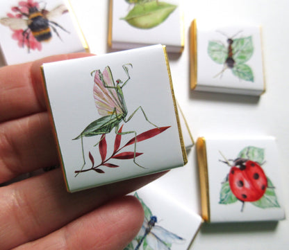 Personalized Garden Bugs Chocolate Favours – Kids' Birthday Party Favours, Pack of 25