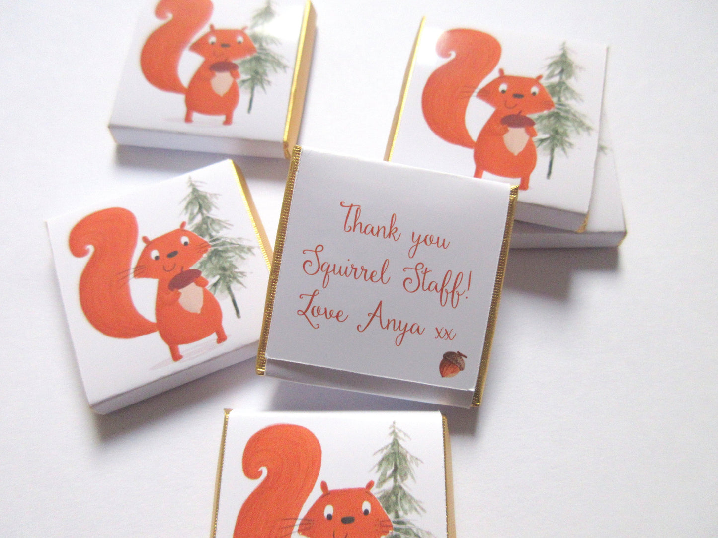 Red Squirrel Personalized Chocolate Favours – Cute Woodland Party Treats (Pack of 25)