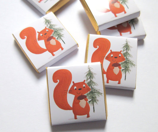 Red Squirrel Personalized Chocolate Favours – Cute Woodland Party Treats (Pack of 25)