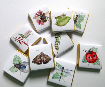 Personalized Garden Bugs Chocolate Favours – Kids' Birthday Party Favours, Pack of 25