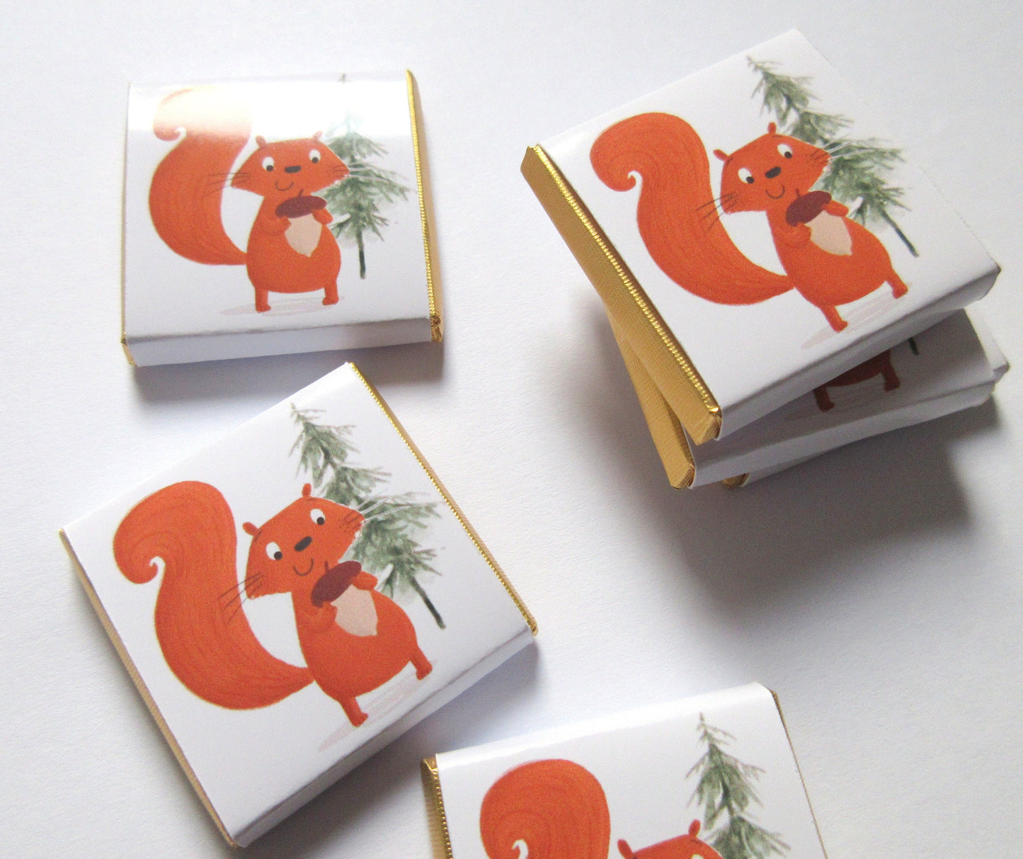 Red Squirrel Personalized Chocolate Favours – Cute Woodland Party Treats (Pack of 25)