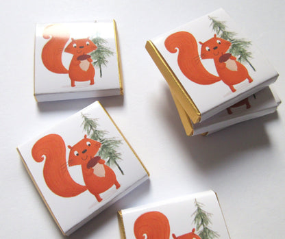 Red Squirrel Personalized Chocolate Favours – Cute Woodland Party Treats (Pack of 25)