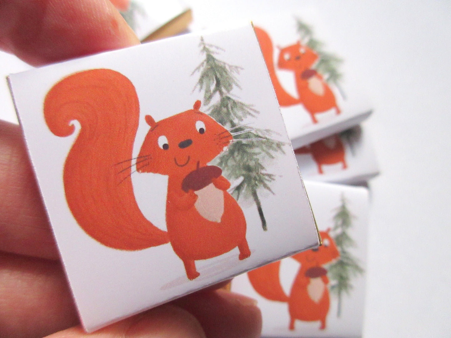 Red Squirrel Personalized Chocolate Favours – Cute Woodland Party Treats (Pack of 25)