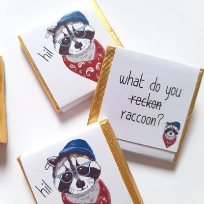 Personalized Raccoon Chocolate Favours – Birthday Party Favours (Pack of 25)