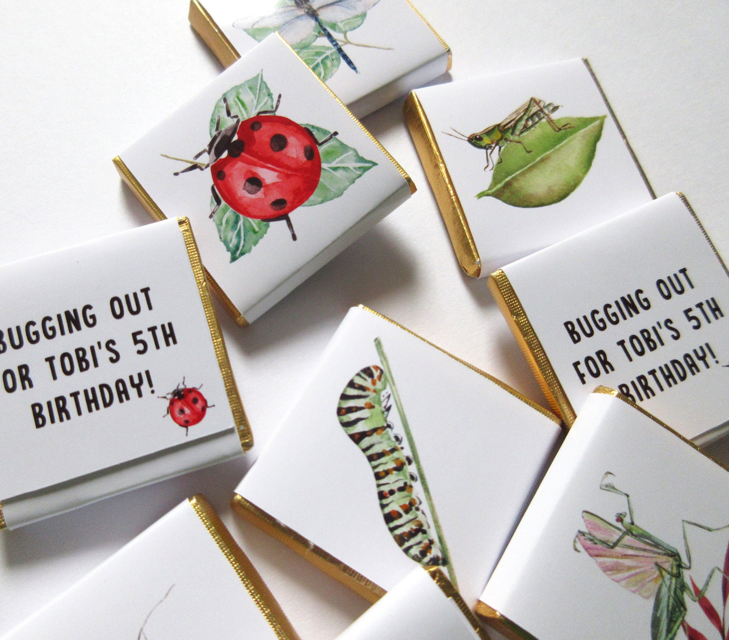 Personalized Garden Bugs Chocolate Favours – Kids' Birthday Party Favours, Pack of 25