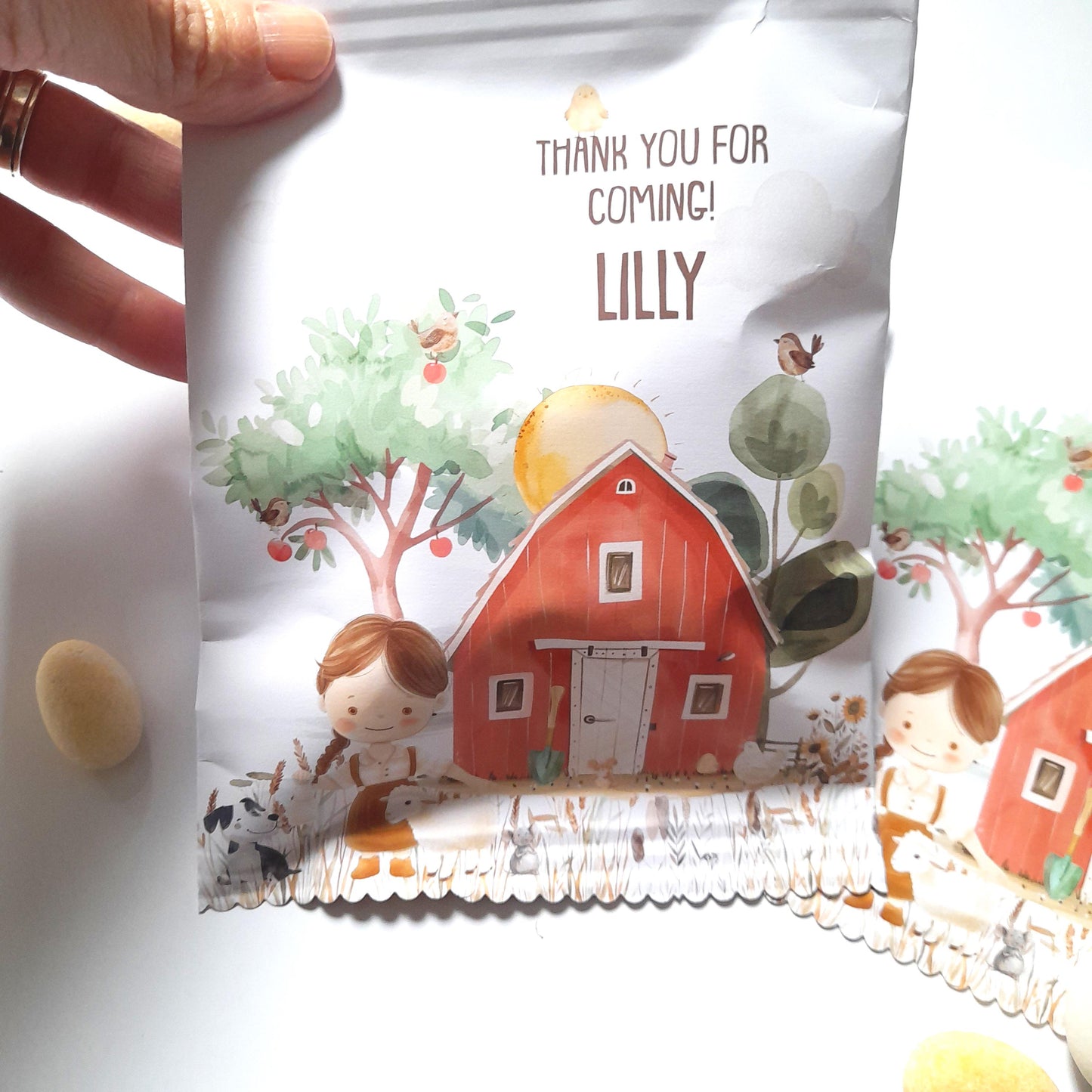 Personalised Farm Party Bags for Girls– Custom Birthday Treat Bags (Pack of 10)