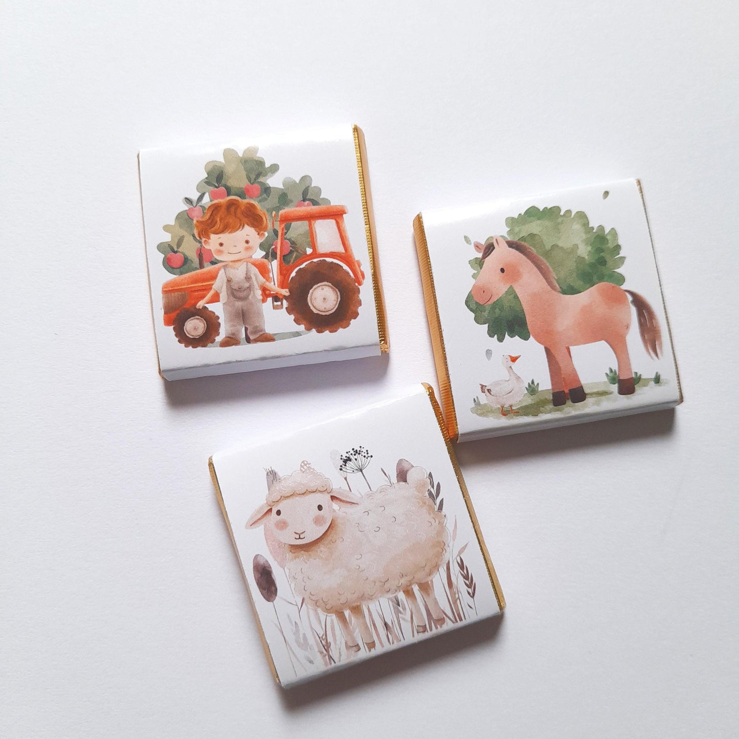 Personalized Farm Party Chocolate Favours – Farm Animals Treats for Children's Party (25 pcs)