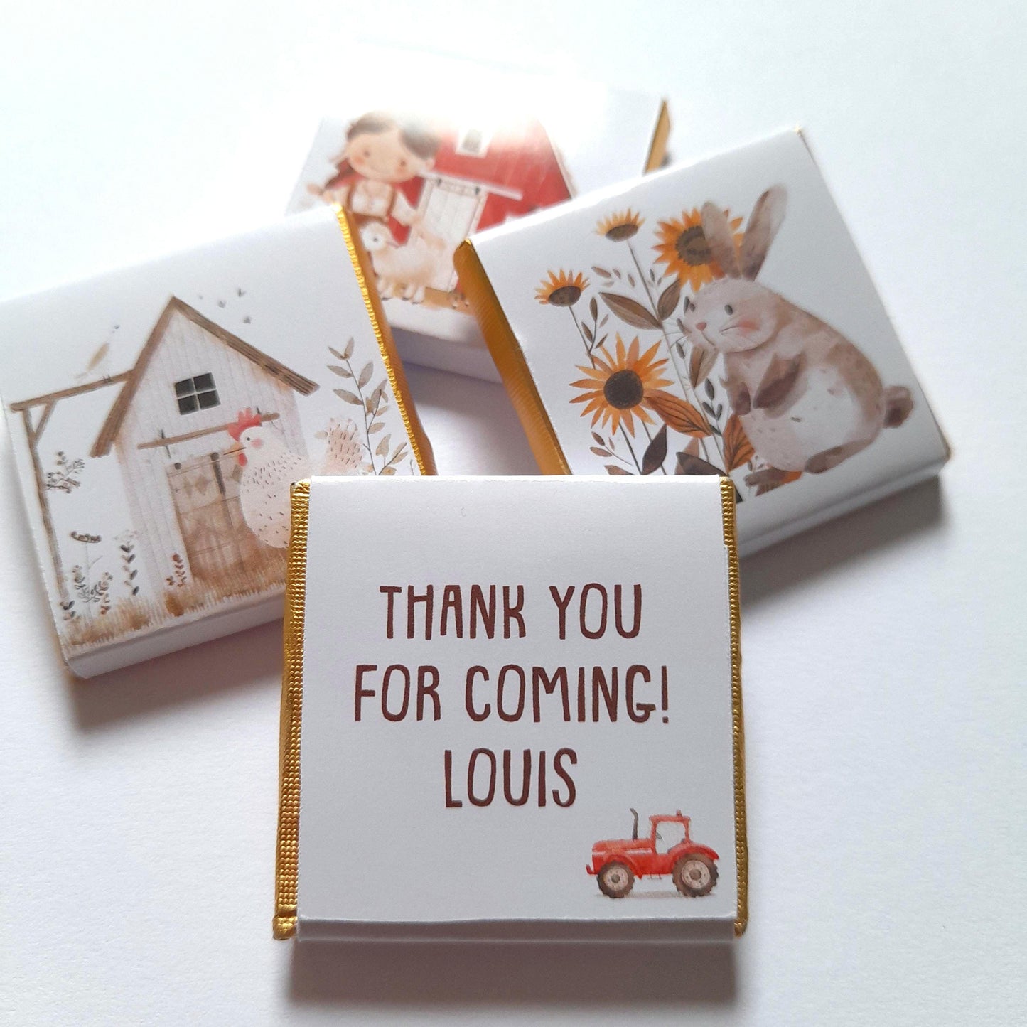 Personalized Farm Party Chocolate Favours – Farm Animals Treats for Children's Party (25 pcs)