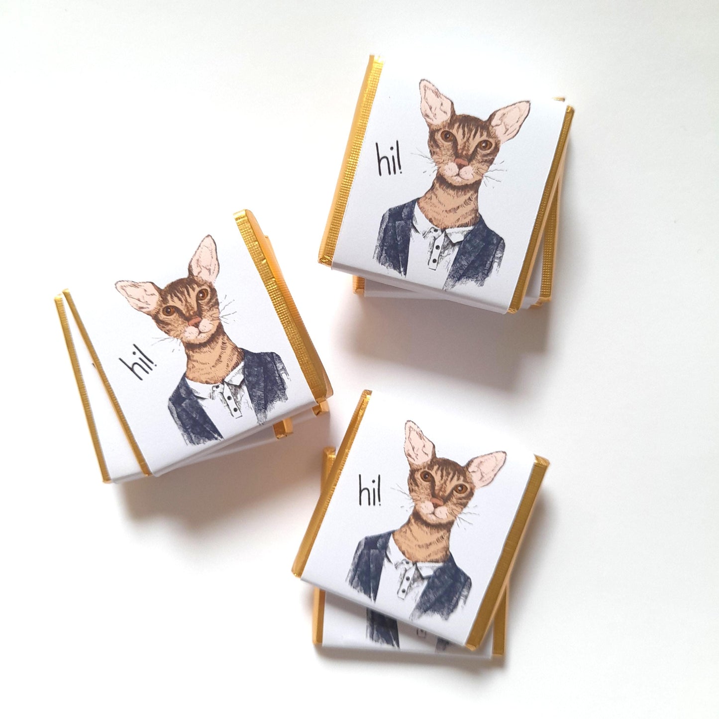 Personalized Handsome Cat Chocolate Favours – Fun Birthday Party Favours (Pack of 25)