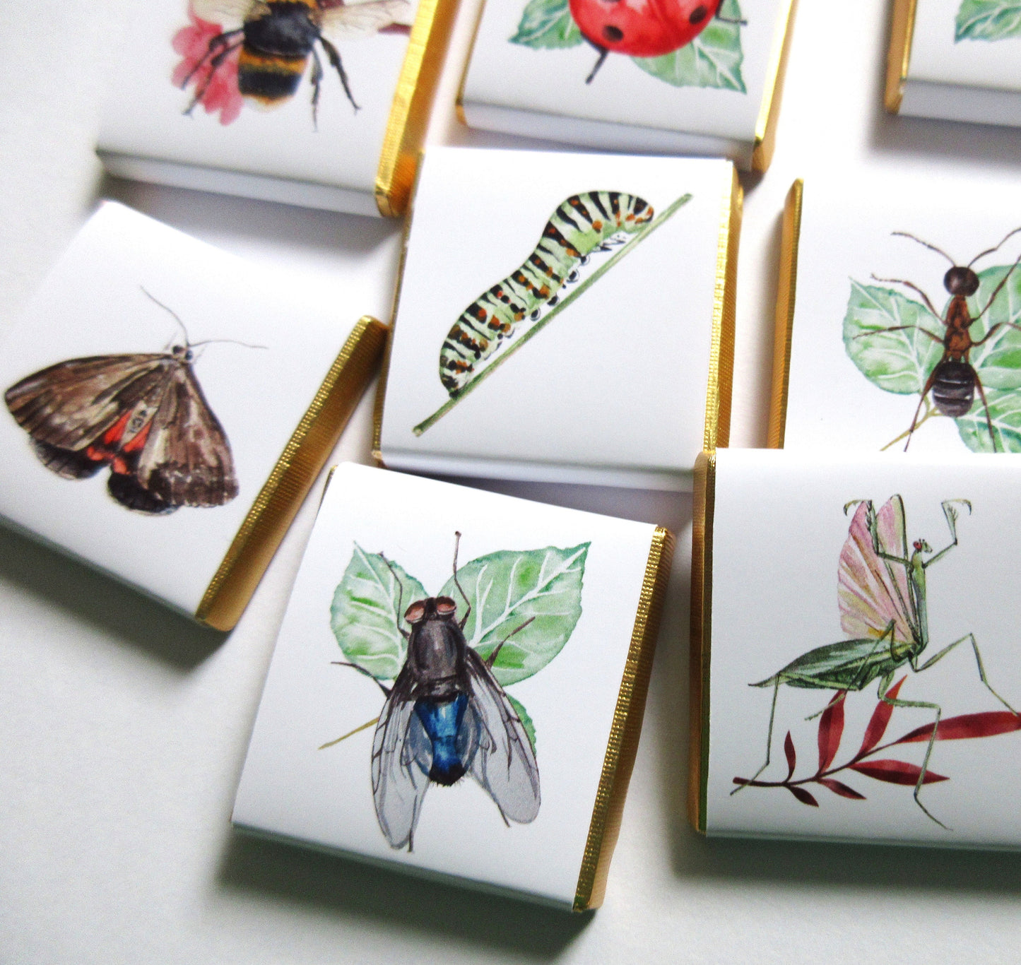 Personalized Garden Bugs Chocolate Favours – Kids' Birthday Party Favours, Pack of 25