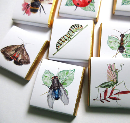 Personalized Garden Bugs Chocolate Favours – Kids' Birthday Party Favours, Pack of 25