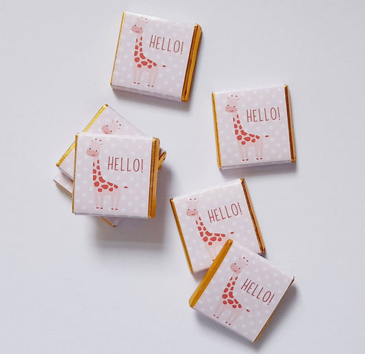 Personalized Pink Giraffe Chocolate Favours – Girl Baby Shower, 1st Birthday & Christening Party Favours (Pack of 25)