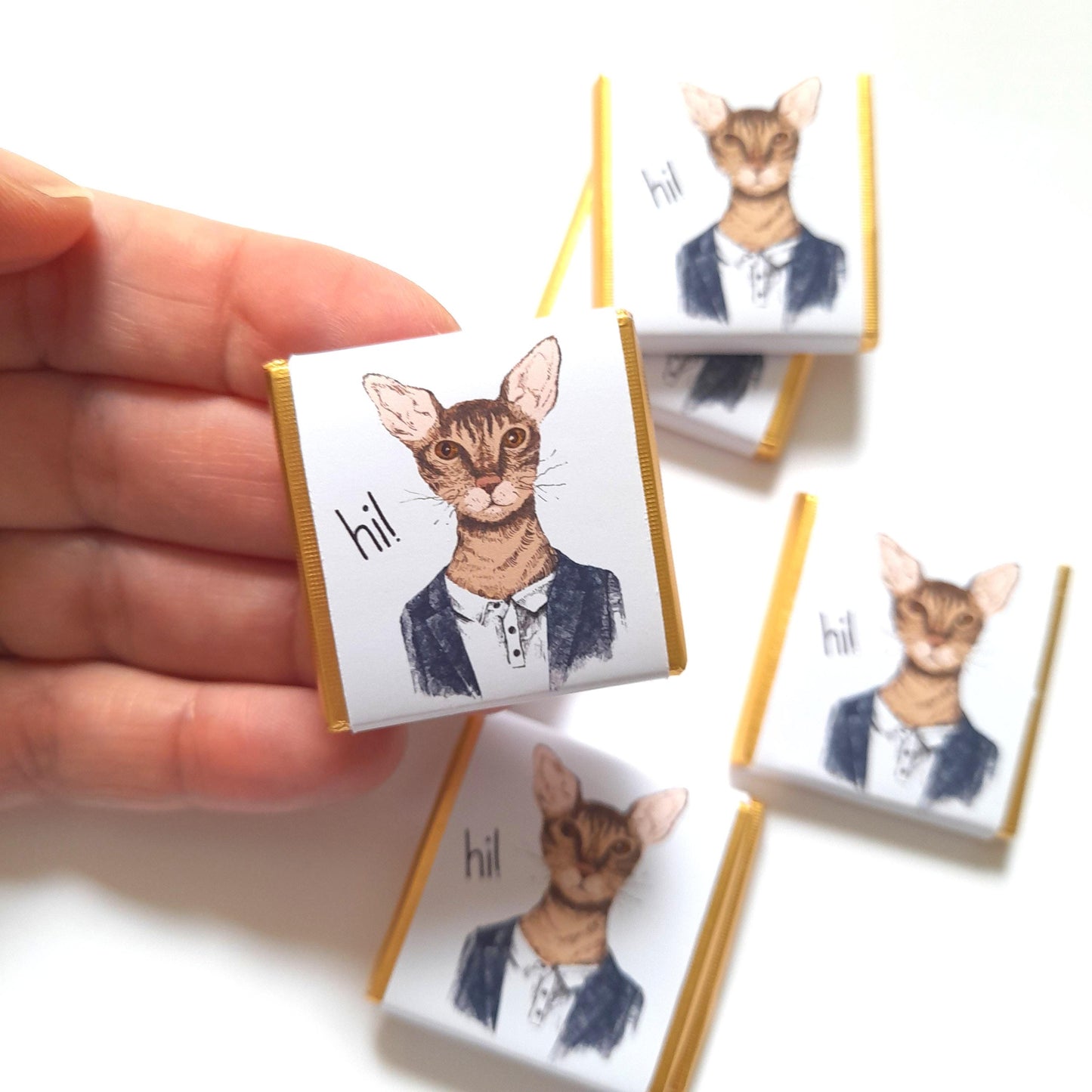 Personalized Handsome Cat Chocolate Favours – Fun Birthday Party Favours (Pack of 25)