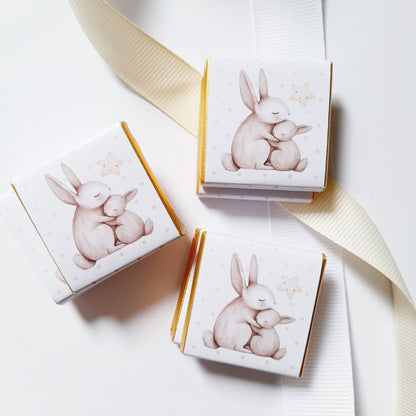 Adorable mamma-and-baby bunny chocolate favours with a personalised back. They are ideal for baby showers or party keepsakes.